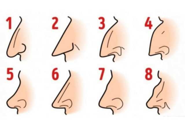 شكل أنفك يكشف الكثير من أسرار وسمات شخصيتك.. أي أنف لديك؟