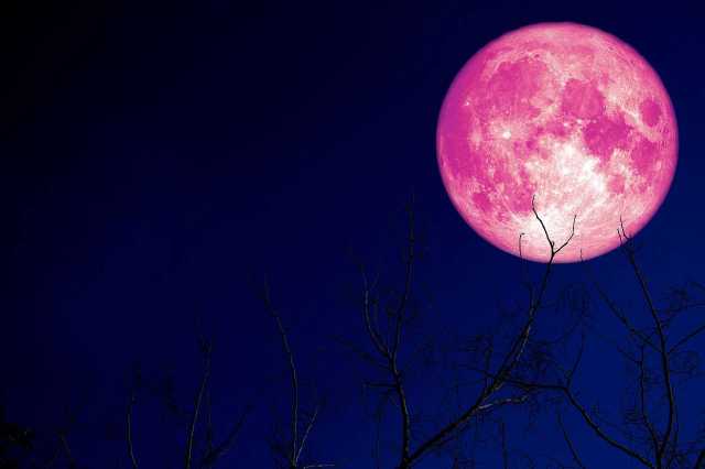 القمر العملاق يظهر في سماء السعودية ودول عربية غدا.. سبب سطوعه باللون الوردي