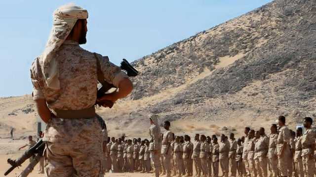 دولة غربية تتحذ قرارا بدعم حكومة عدن عسكريا ضد قوات صنعاء