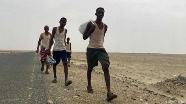 الهجرة الدولية تعلن استئناف برامج العودة الطوعية للمهاجرين الأفارقة في اليمن