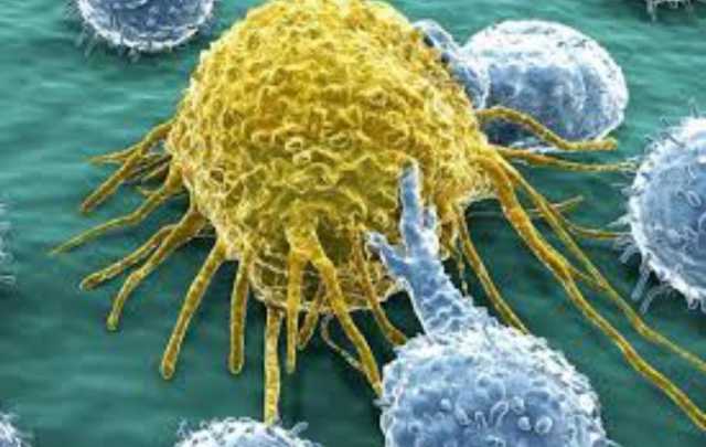 إكتشاف دواء جديد يعيد قدرة جهاز المناعة على محاربة السرطان