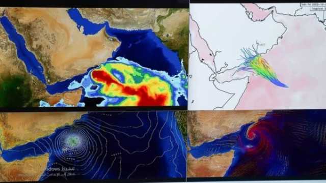 العليمي' يوجّه الحكومة وسلطات المهرة وحضرموت وسقطرى برفع الجاهزية للحدّ من آثار العاصفة 'تيج'