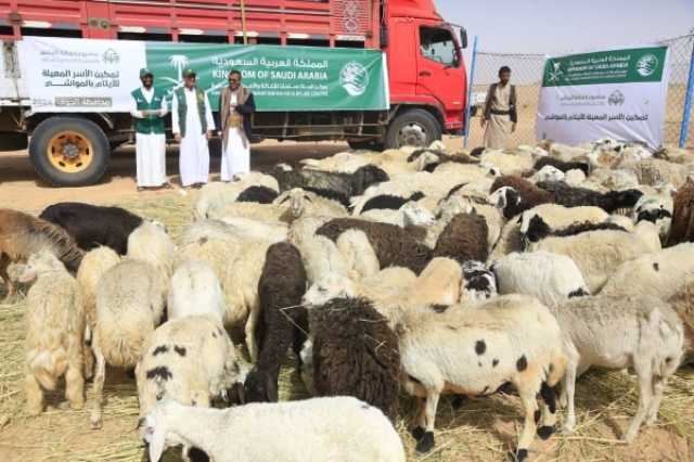 مركز الملك سلمان يقدم مواشي لـ50 اسرة نازحة فقدت معيلها بمحافظة الجوف لتمكينها اقتصاديا