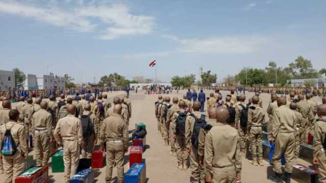 13 شرطاً للقبول.. وزارة الدفاع تُعلن فتح باب القبول والتسجيل في كلية الطيران والدفاع الجوي