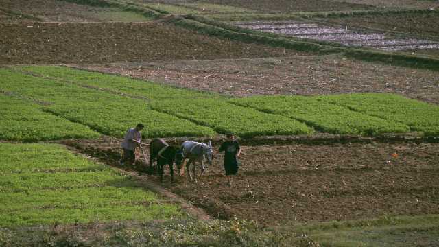 المغرب يخصص 1.4 مليون هكتار من الأراضي لصالح الاستثمارات