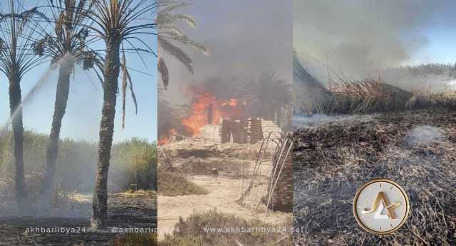 هيئة السلامة تعلن السيطرة على حريق مزارع النخيل ببلدية تاورغاء