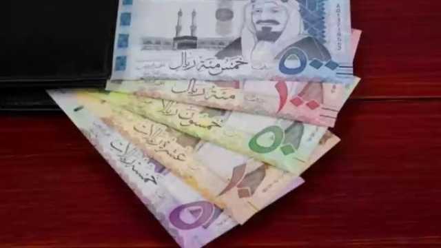 انخفاض سعر الريال السعودي اليوم في مصر الثلاثاء 12 نوفمبر 2024