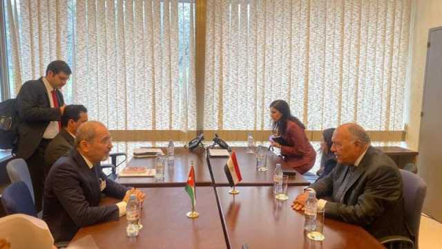 وزراء خارجيتي الأردن ومصر يبحثان تداعيات العدوان الإسرائيلي على غزة في جنيف