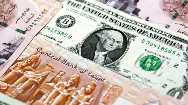 زيادة جديدة.. سعر الدولار اليوم في مصر في السوق السوداء الخميس 8 فبراير 2024