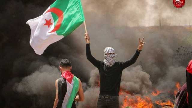 اميركا تهدد بـ الفيتو ضد مشروع قرار جزائري بوقف العدوان الاسرائيلي على غزة