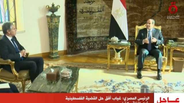 السيسي لبلينكن: رد اسرائيل في غزة تخطى الدفاع عن النفس للعقاب الجماعي