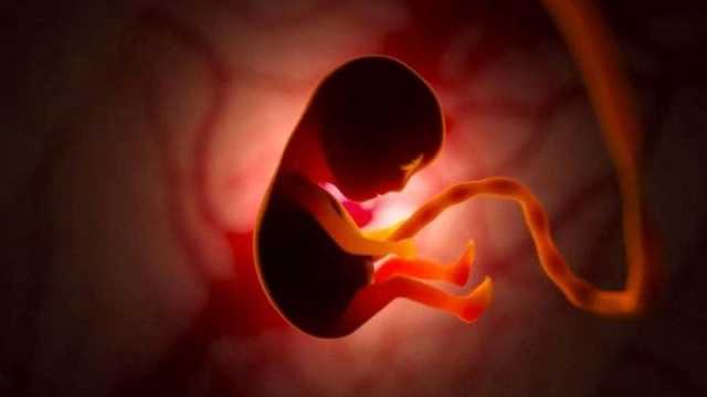 هل يخطئ السونار في تحديد نوع الجنين في الشهر الثالث؟