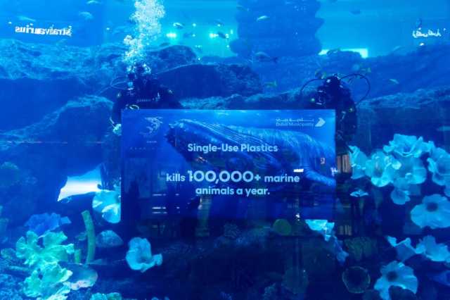 حملة توعوية بأثر المخلفات البلاستيكية