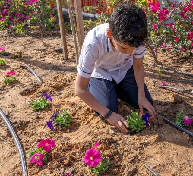 «بلدية أبوظبي» تنظم فعالية «مدينتي أجمل» بمدينة زايد وبني ياس