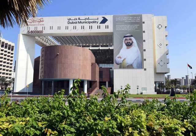 بلدية دبي تستعرض خدماتها الرقمية بمعرض «جلفود»