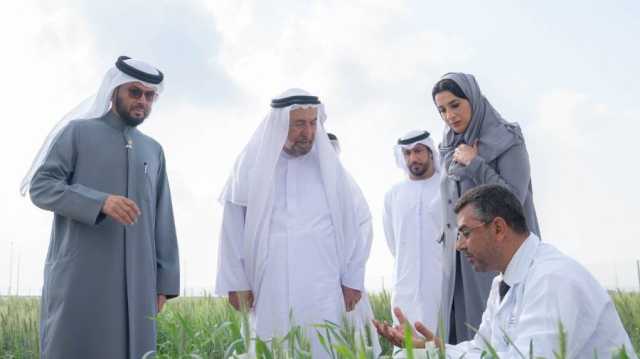 بالفيديو | سلطان يشهد حصاد الموسم الثاني لمزرعة القمح في مليحة