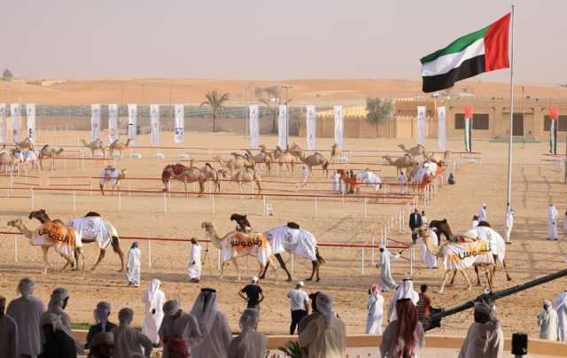 تحت رعاية محمد بن زايد.. مهرجان الظفرة ينطلق 21 أكتوبر