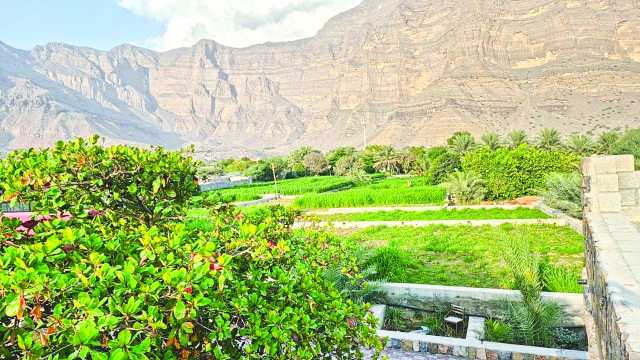 مزارعون: المركز الزراعي الوطني سيزيد النمو في منتجاتنا العضوية