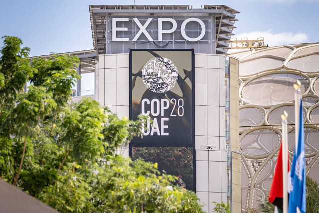 مزرعة مدينة إكسبو.. رسالة جديدة من الإمارات في «COP28» لمواجهة التغير المناخي