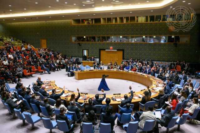 الإمارات ترحب باعتماد مجلس الأمن تعيين منسق للإشراف على إيصال المساعدات إلى غزة