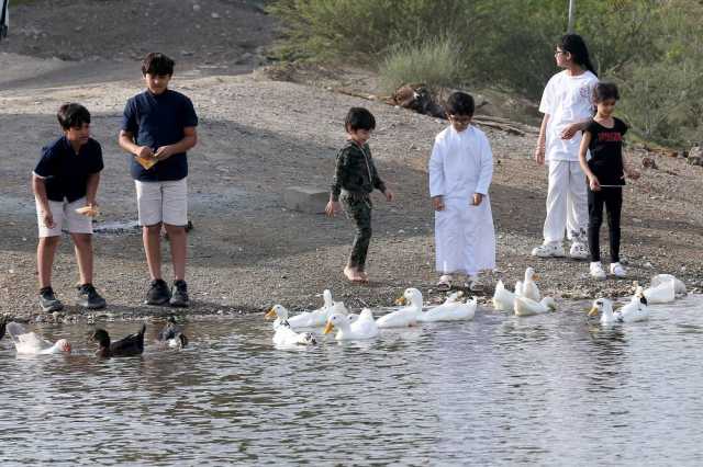 «شتانا في حتا» مغامرات صغيرة تسعد الأطفال بعالمهم