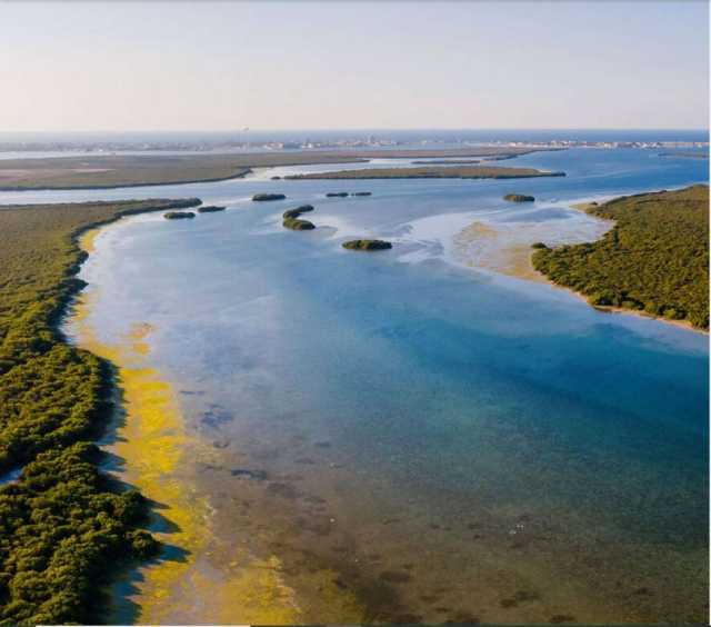 تقييم وإعادة تأهيل النظم البيئية البرية والساحلية في أبوظبي