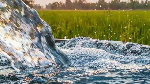 14 مبادرة لتحسين إدارة الموارد المائية في أبوظبي