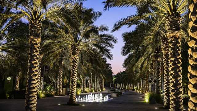 «حديقة أم الإمارات» تحتفي بيوم المرأة الإماراتية
