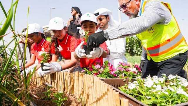 الإمارات.. التزام ثابت بالاتفاقيات الدولية للبيئة ترسيخاً للاستدامة