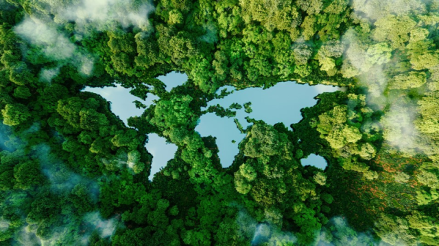 COP28 يعقد أكبر منتدى عالمي حول المناخ والطبيعة لقادة الشركات والأعمال التجارية والخيرية
