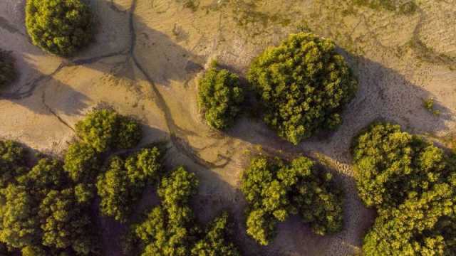 «بيئة أبوظبي» والمعهد العالمي للنمو الأخضر يتعاونان لمواجهة تغير المناخ