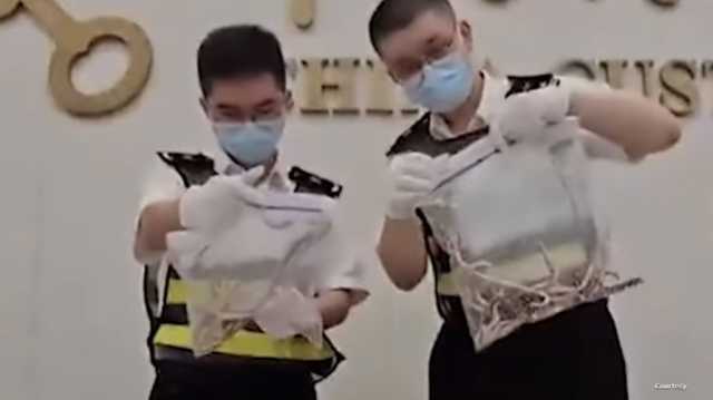 الجمارك الصينية تصادر 104 ثعابين من بنطال رجل