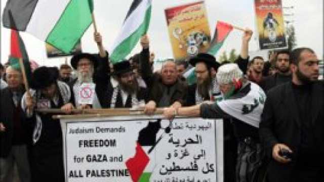 أبرز الجماعات اليهودية المدافعة عن فلسطين