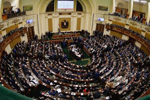 رفض مصري لبيان البرلمان الأوروبي بشأن حقوق الإنسان والانتخابات