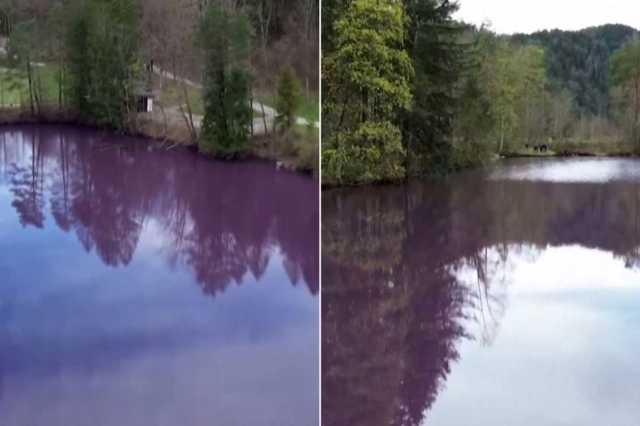 ما سر تحول بحيرة ألمانية إلى اللون الأرجواني؟
