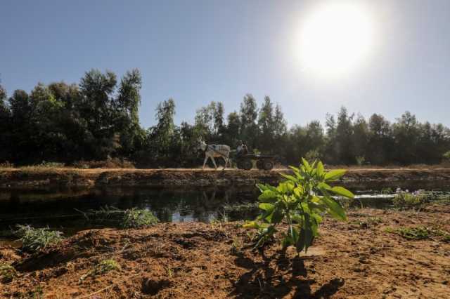 جحر الديك.. سلة غذاء غزة والخاصرة الرخوة للقطاع