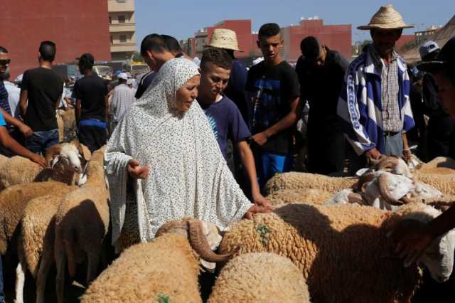 الجفاف في المغرب يرهق جيوب الراغبين بشراء أضاحي العيد