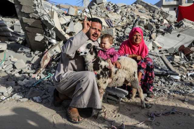 غزيون يذبحون الأضاحي على أنقاض منازلهم