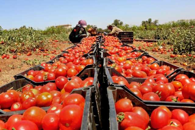 الأردن وتركيا في مقدمة مصدري الخضار والفواكه إلى إسرائيل