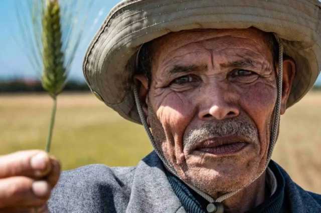 تحدي الجفاف بالعلم.. كيف يستعد المغرب لأخطر إجهاد مائي في القرن الـ21؟