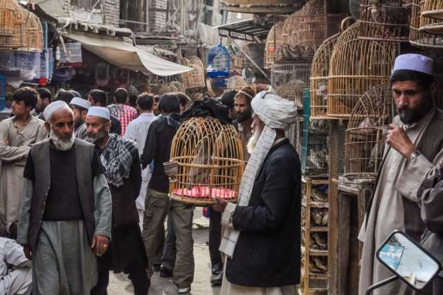 مؤشرات إيجابية في أفغانستان.. هل نجحت طالبان اقتصاديا؟