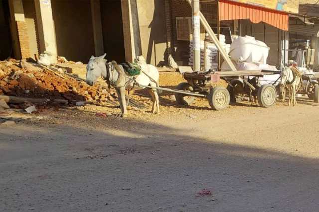 بسبب تمدد الحرب.. السودانيون يستخدمون الحمير كوسيلة إسعاف