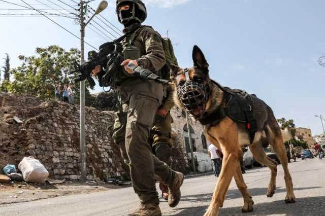 إسرائيل تعترف بفشل كلابها المدربة في مواجهة كلاب المقاومة الفلسطينية