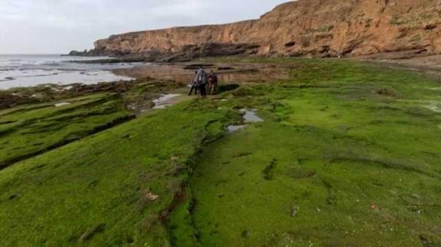 اكتشاف آثار أقدام بشرية تعود لأكثر من 100 ألف عام في المغرب