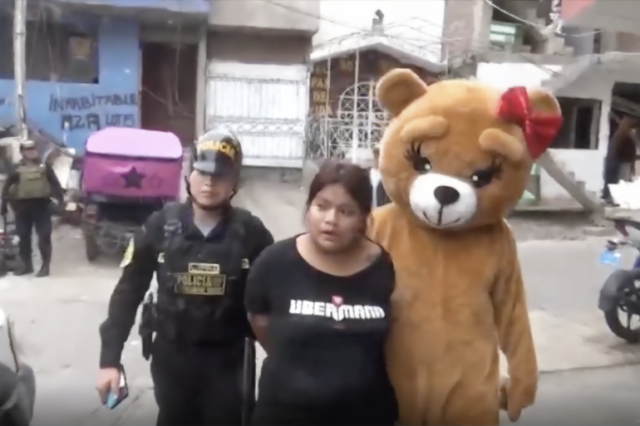 شاهد.. متنكرا بزي دب يحمل هدية عيد الحب.. شرطي يوقع ببائعتي مخدرات في بيرو