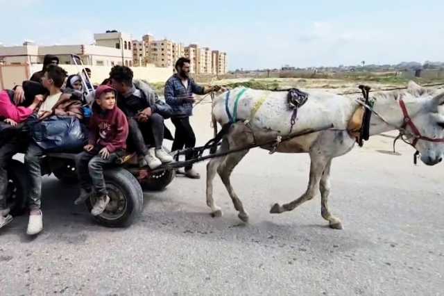 مع 4 أيتام معاقين.. الغزاوية سميرة تروي مآسي الفرار من المجاعة