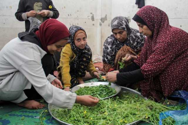 عادات رمضان في غزة هذا العام حال دونها واقع الحرب القاتم