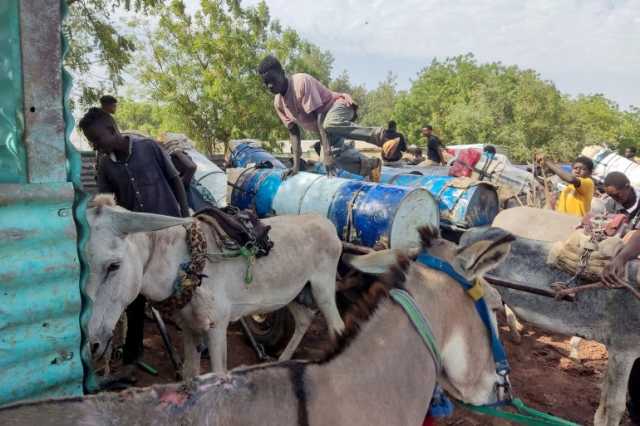 السودان.. عربات تجرها الحمير بدلا من سيارات الإسعاف جراء الحرب