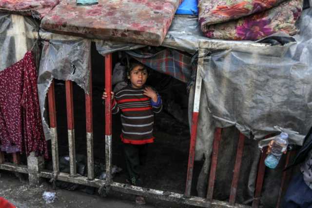 ديفيد هيرست: على الدول الإسلامية مواجهة الغرب لوقف الحرب على غزة