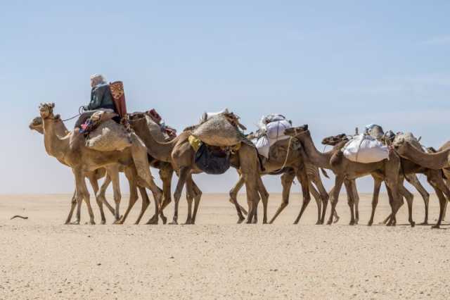 أبرز القبائل والمجموعات الإثنية في تشاد